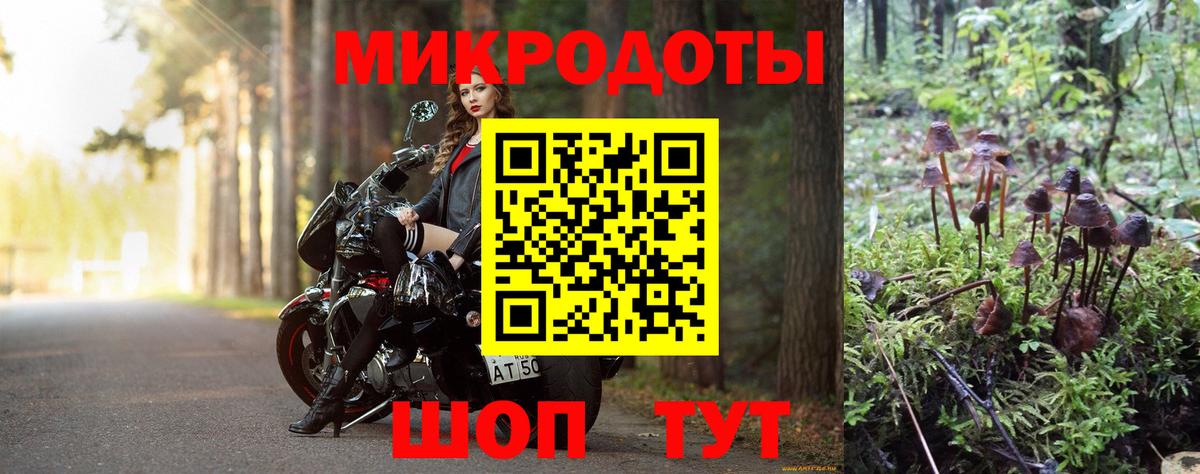 Псилоцибиновые грибы мицелий  Вход с VPN  Северобайкальск 